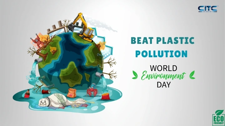 Can You Beat Plastic Pollution? Start With These 6 Easy Fixes Today